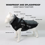 Waterproof Dog Jacket with Built-In Harness