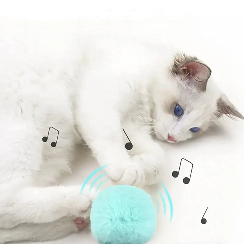 Electric Catnip Plush Ball — Touch-Activated Squeak & Motion