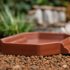 2-in-1 Anti-Slip Tortoise Water Dish — Bathing & Feeding Bowl with Ramp