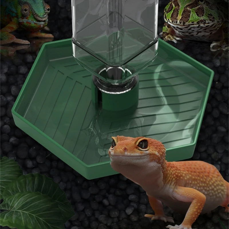 Antislip Automatic Reptile Water Bowl — Easy-Fill Dispenser for Lizards & Turtles