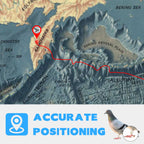 IP67 Waterproof 2.5g Racing Pigeon GPS Tracker - GLONASS/GSM Leg Band with 160-Hour Battery