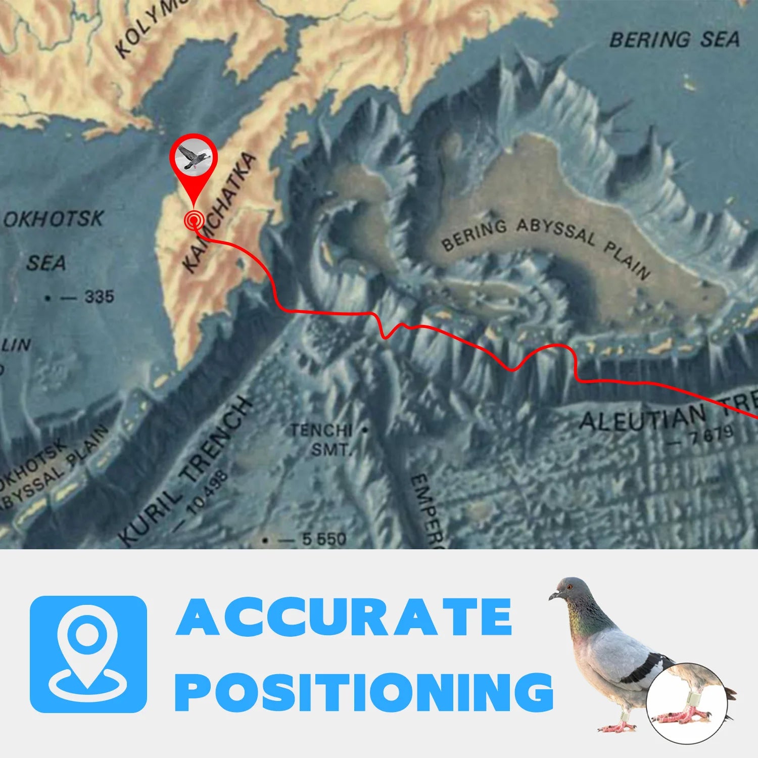 IP67 Waterproof 2.5g Racing Pigeon GPS Tracker - GLONASS/GSM Leg Band with 160-Hour Battery