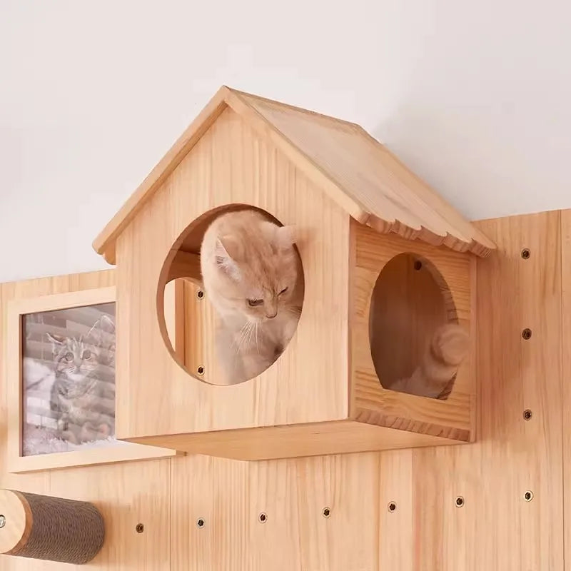 Wall-Mounted Cat Climbing Shelf & Hammock