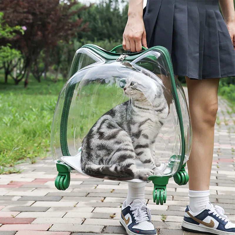 Fully Transparent Space Cabin Pet Trolley Case for Cats & Small Dogs