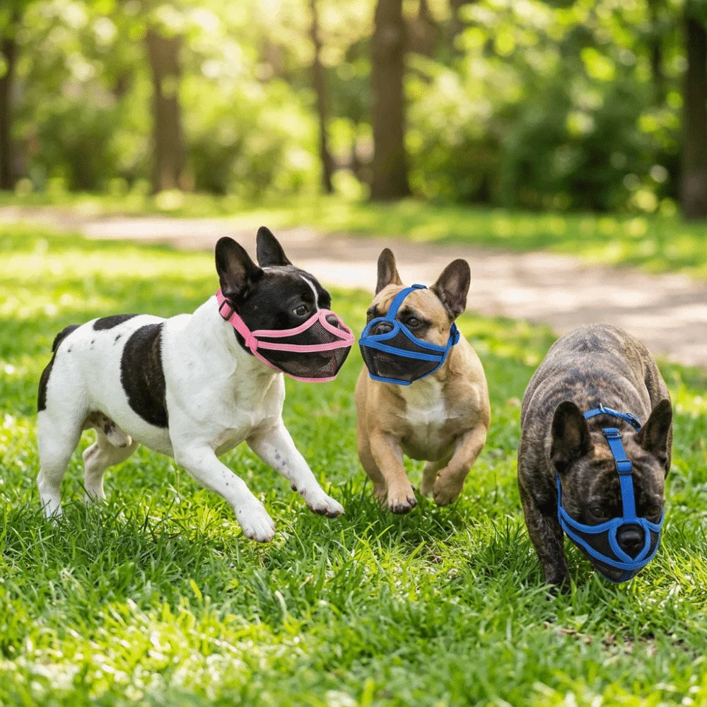 Short Snout Dog Muzzle for Flat-Faced Breeds (Adjustable, Breathable)