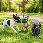 Short Snout Dog Muzzle for Flat-Faced Breeds (Adjustable, Breathable)