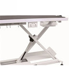 Electric Veterinary Grooming Table with X-Style Lift