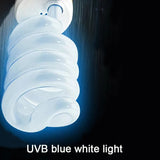 E27 UVB Calcium Lamp — 13W/26W Bulb for Tortoises & Lizards