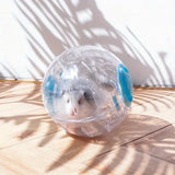 Transparent Exercise Ball — Ventilated Running Toy for Hamsters
