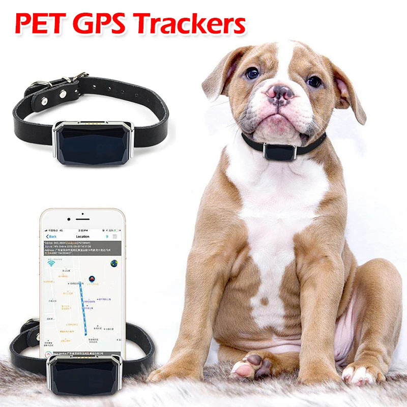 GPS Pet Tracker with Real-Time Call & Remote Control for Dogs & Cats