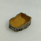Resin Rock Terrarium Bowl — Natural-Look Feeder Dish, XS Size