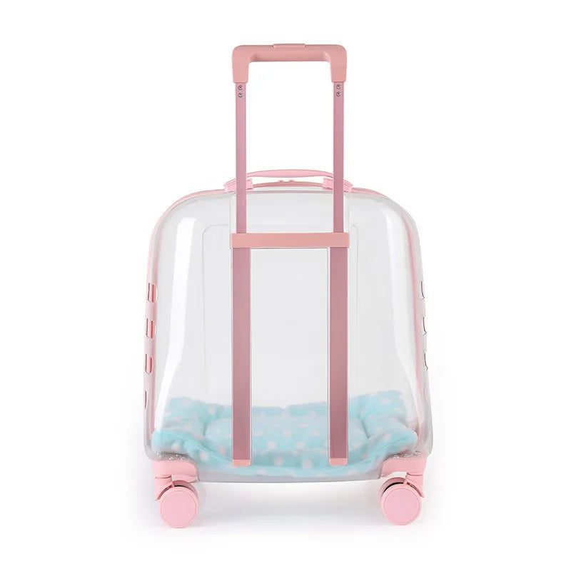 Transparent Capsule Pet Backpack Carrier with Wheels for Cats & Small Dogs
