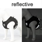 Reflective Escape-Proof Mesh Harness & Leash Set — For Cats & Small Dogs
