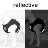 Reflective Escape-Proof Mesh Harness & Leash Set — For Cats & Small Dogs