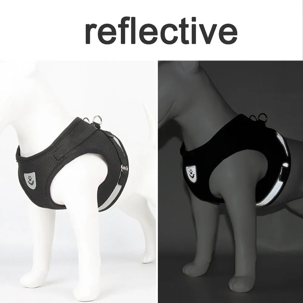 Reflective Escape-Proof Mesh Harness & Leash Set — For Cats & Small Dogs