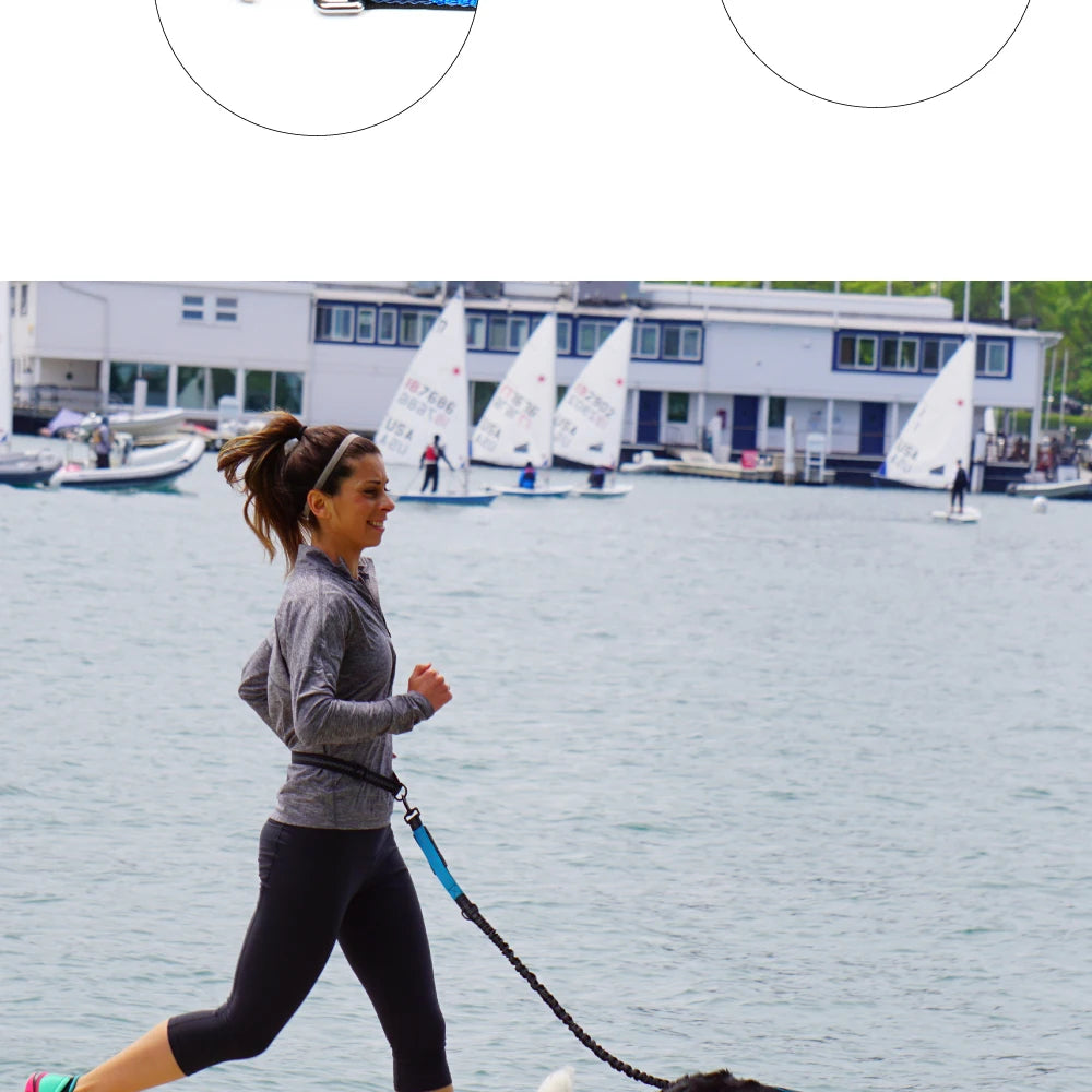 Hands-Free Running Dog Leash with Waist Belt