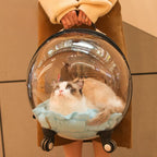 Transparent Breathable Cat Trolley Travel Case & Carrier Bag with Cat Nest for Outdoor Use