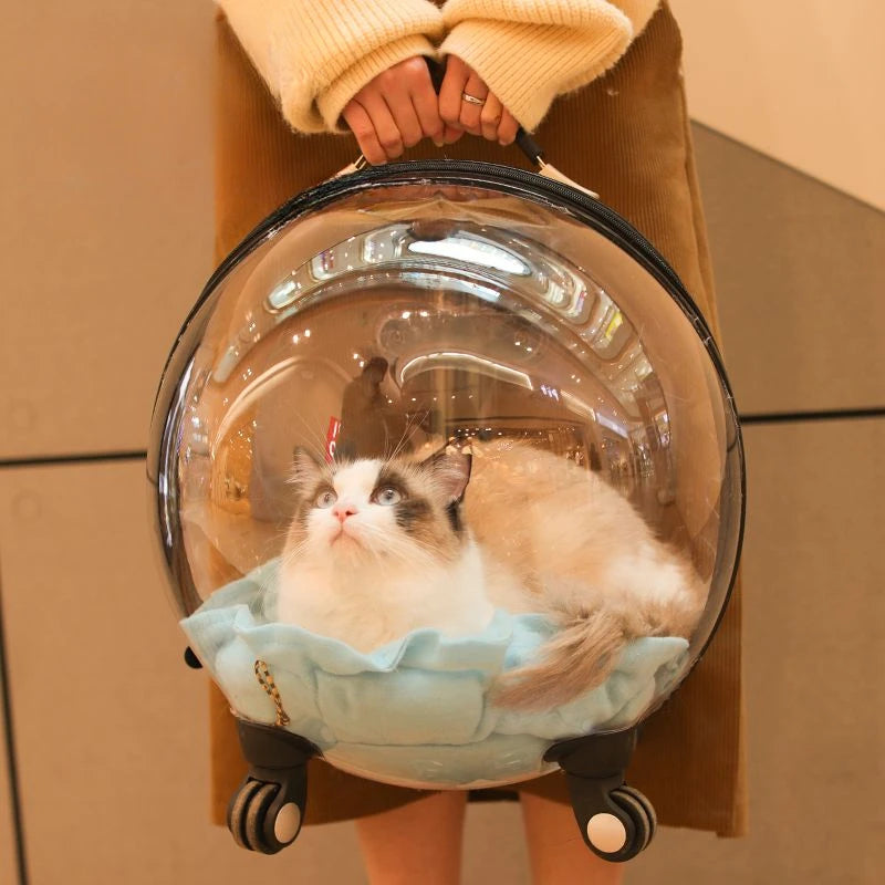 Transparent Breathable Cat Trolley Travel Case & Carrier Bag with Cat Nest for Outdoor Use