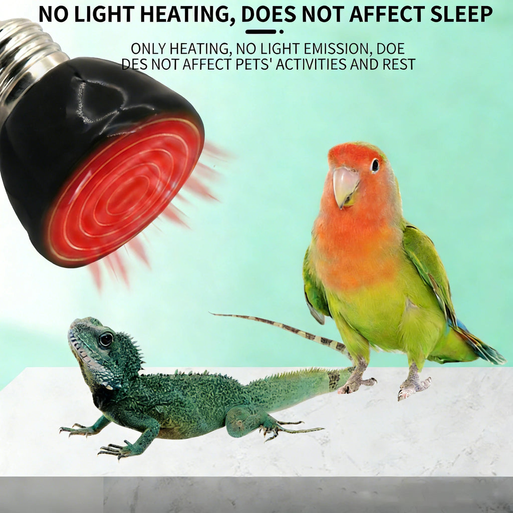 Ceramic Infrared Heat Lamp — No-Light Nighttime Heat for Lizards & Snakes, 25W-100W