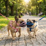 Short Snout Dog Muzzle Anti-Bite (Soft Touch, Adjustable, Breathable, Flexible)
