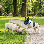 Short Snout Dog Muzzle for Bulldogs (Breathable, Adjustable, Anti-Scavenge)