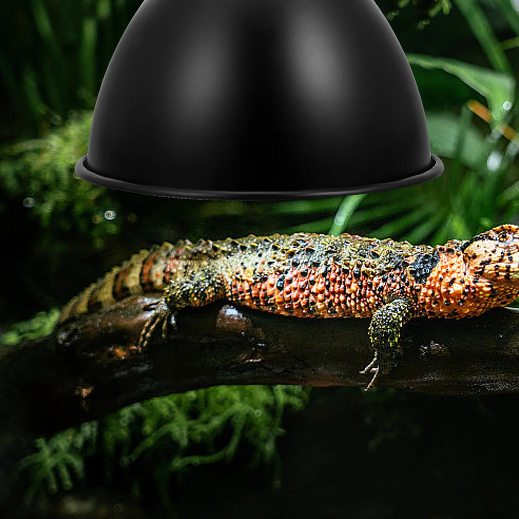 Iron Reptile Heat Lamp Dome — Reflector Shade for E27 Bulbs