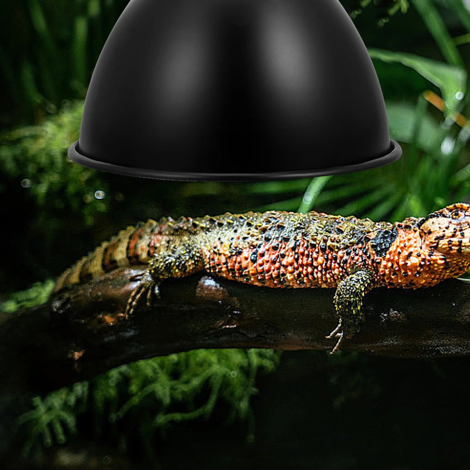 Iron Reptile Heat Lamp Dome — Reflector Shade for E27 Bulbs
