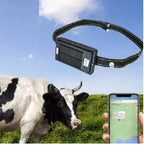 20,000mAh Solar GPS Tracker for Cattle, Horses & Large Animals - 2G IP67 Waterproof