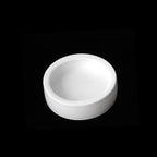 Ceramic Anti-Escape Feeder Bowl — Round & Fan-Shaped Dish for Lizards & Bearded Dragons