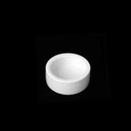 Ceramic Anti-Escape Feeder Bowl — Round & Fan-Shaped Dish for Lizards & Bearded Dragons