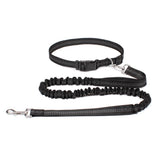 Hands-Free Running Dog Leash with Waist Belt