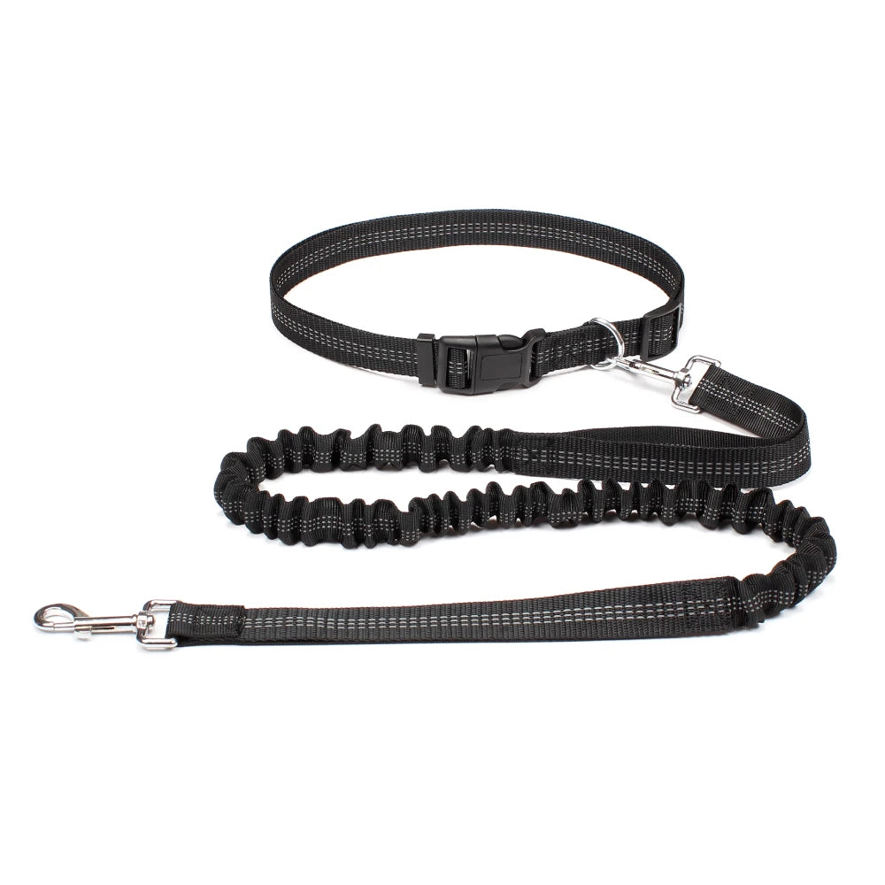 Hands-Free Running Dog Leash with Waist Belt