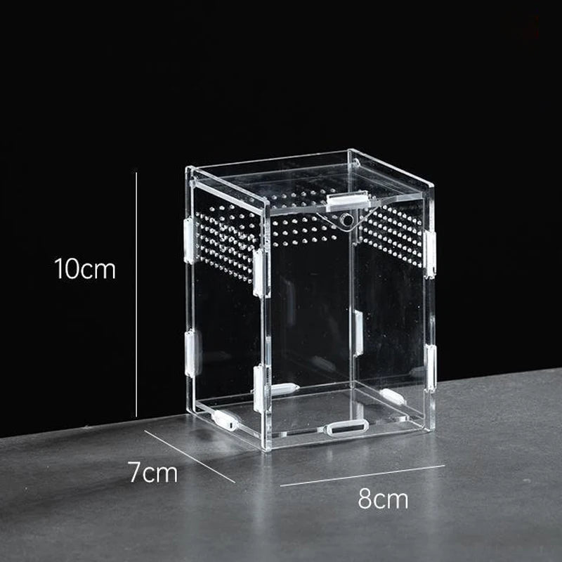 Acrylic Reptile Breeding Box — Ventilated Enclosure for Spiders & Small Reptiles